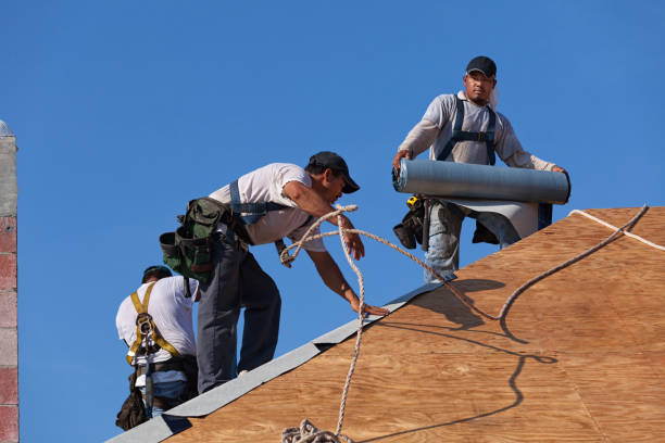Best Storm Damage Roof Repair  in Cusseta, GA