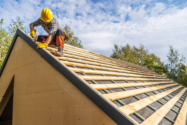 Best Metal Roofing Contractor  in Cusseta, GA