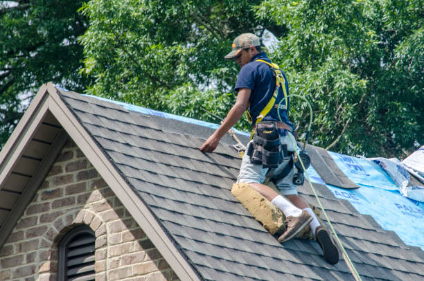 Best Residential Roofing Contractor  in Cusseta, GA
